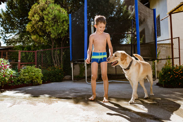 istock Fun with my dog on an summer day 1402088355