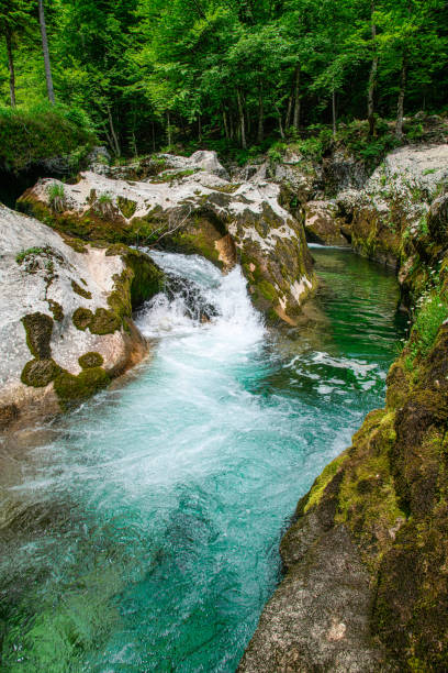 istock Summertime in Northern Slovenia 1402089743