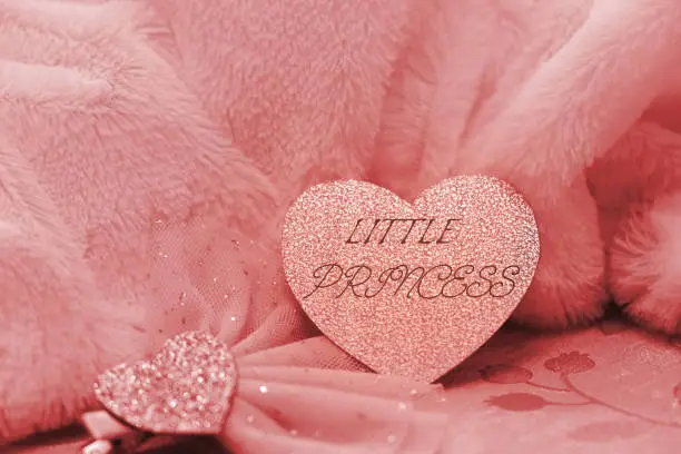 Little Princess text on heart shape card. Decorating baby bedroom. Happy birthday nd baby shower