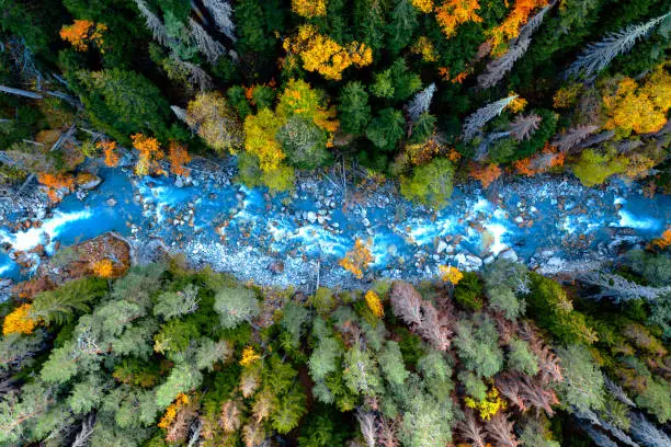 Drone aerial top view of mountain river and forest. Blue tone