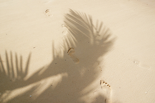 Footprints in the golden sand in the shadow of tropical plam tree leaves.