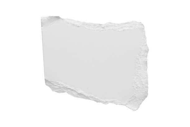 istock White ripped paper torn edges strips isolated on white background 1402094268