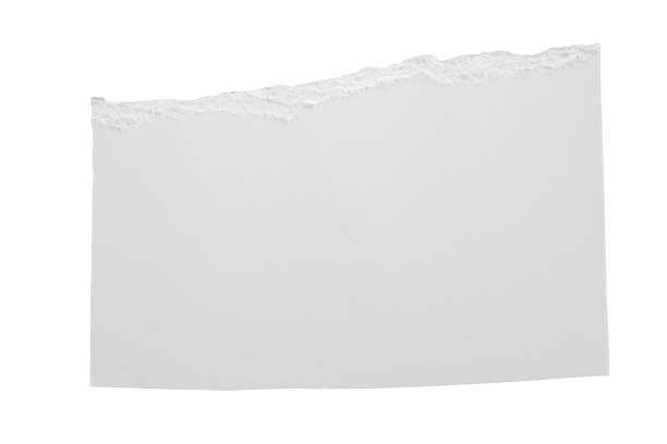 istock White ripped paper torn edges strips isolated on white background 1402094338