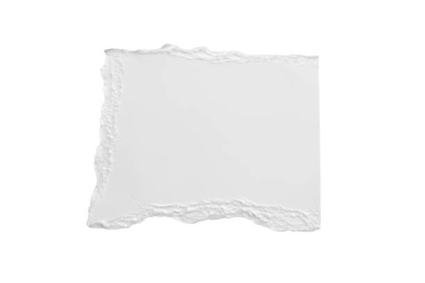istock White ripped paper torn edges strips isolated on white background 1402094347