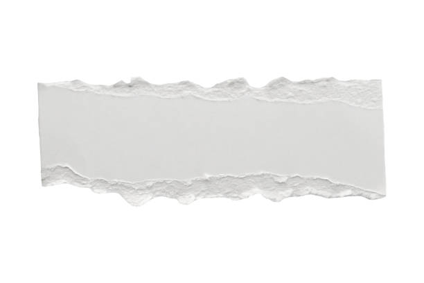 istock White ripped paper torn edges strips isolated on white background 1402094462