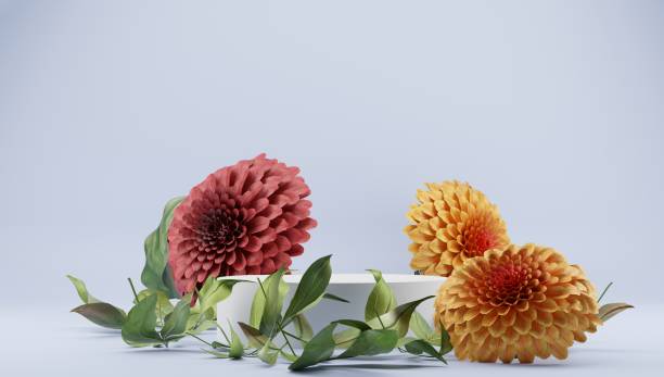istock 3D rendering flower background mauve color with geometric shape podium for product display, minimal concept, Premium illustration pastel floral elements, beauty, cosmetic, valentines day. 1402094956