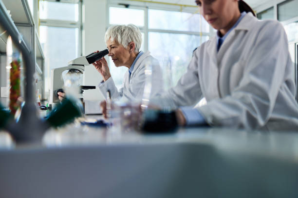 istock Mature female scientist doing a research through a microscope in laboratory. 1402095863