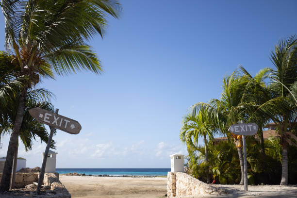 istock Road sign Exit between palm trees. Way to the sea. 1402095929