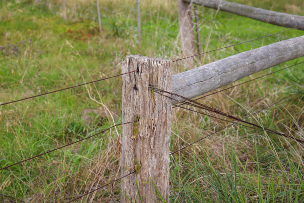 istock old timber fence in the field 1402095957