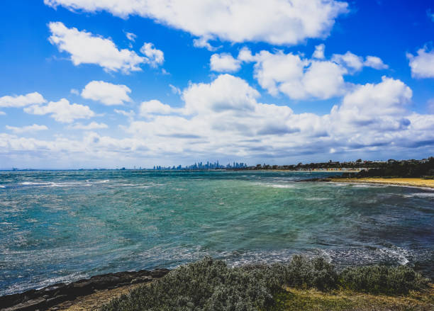 istock View over plants to the beach and ocean in Australia. 1402101357