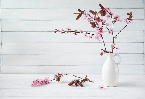 Fresh branches  of cherry blossoms in a vase, pink sakura flowers, spring Easter concept, wooden background