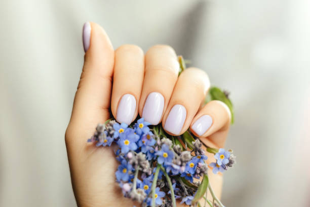istock Beautiful purple manicure on a milky background. 1402102625