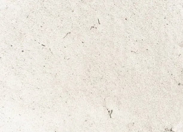 Photo of Very white and dry sandy soil as texture or background.