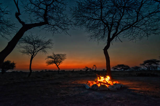 Campfire in the african wilderness in Namibia, Etosho National Park, Africa stock photo