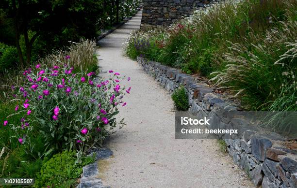 Road Cut Into The Slope Above And Below The Road Is A Stone Dry Wall Nature Trail Through The Autumn Park With A Drain And A Metal Grid Slopes Overgrown With Drought Perennials Yellow Stock Photo - Download Image Now