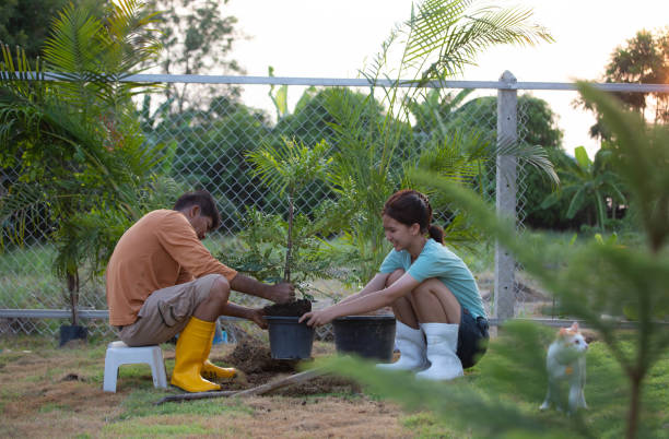 istock father and daughter planting trees 1402109452