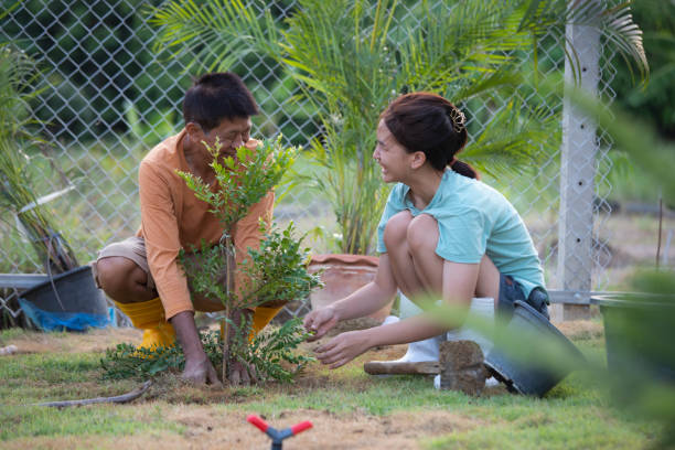 istock father and daughter planting trees 1402109458
