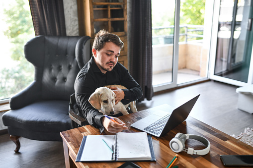 Dog Sitting In Lap Of Businessman Working From Home