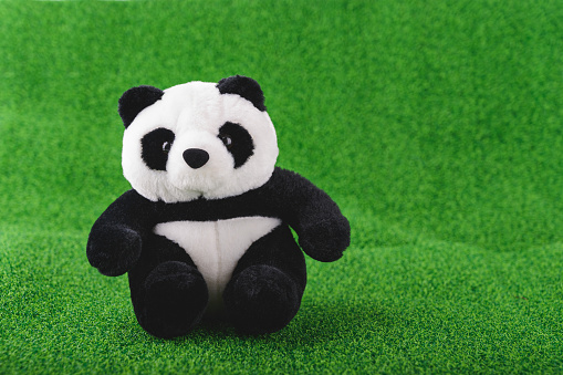 Animal toy : Panda bear doll put on the green grass