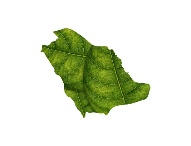 Saudi Arabia map made of green leaves on white background ecology concept