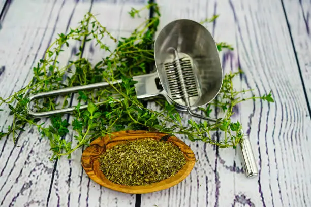 Savory Satureja is one of the most popular culinary herbs
