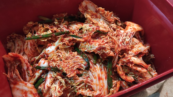 Korean food: Quick,fresh Kimchi