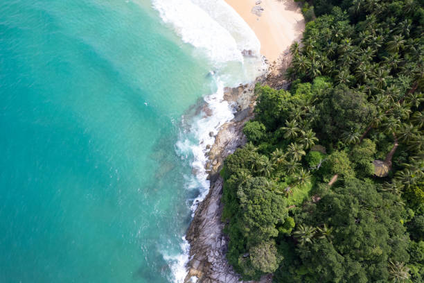 istock Aerial view Top down seashore wave crashing on seashore Beautiful turquoise sea surface in sunny day Good weather day summer background Amazing beach top view 1402117900
