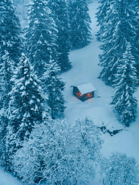 A log cabin in the mountain during snowfall in switzerland