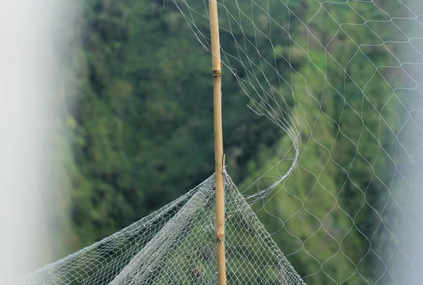 istock The net is attached to long bamboo 1402118685