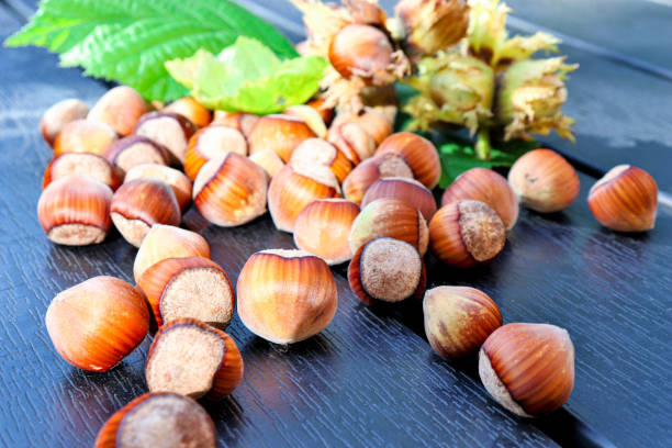 istock Hazelnuts composition on the table. Food background. Organic natural food. 1402118933