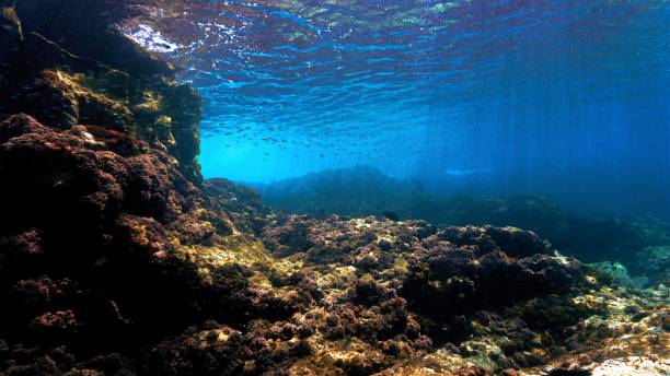 istock Underwater landscape in rays of light 1402119106