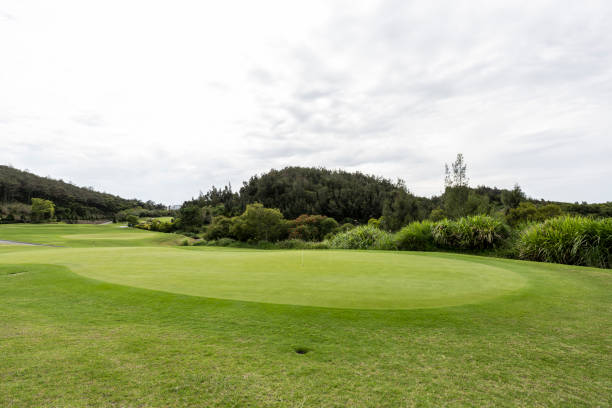 istock Green golf course in Fujian, China 1402119404