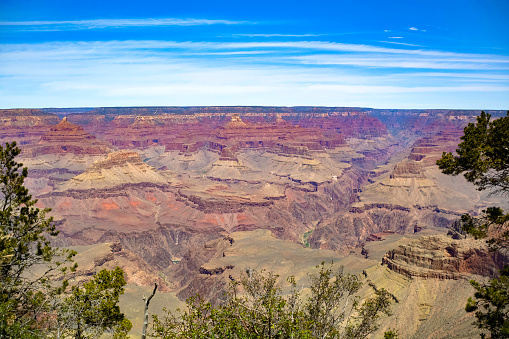 A wide angle showing the beautiful colors and vastness of the Grand Canyon with trees around the edges to give perspective.