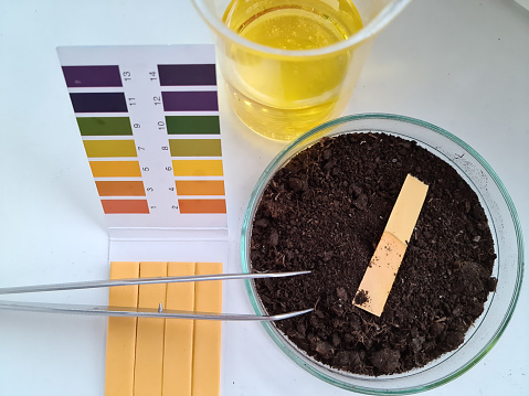 PH test soil and oil in a flask. Soil sample for acidity analysis, biology of various materials. Soil sample analysis concept