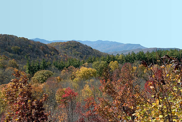 istock Trees of autumn 140212412