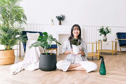 Young Asian long black hair woman holding a small house plant in the pot with care and smile, sitting with a plant spray bottle. Monstera and house plant lover at home. The concept of plant care.