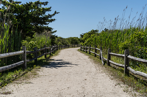 Sandy path that leads to the beach in Avalon, New Jersey