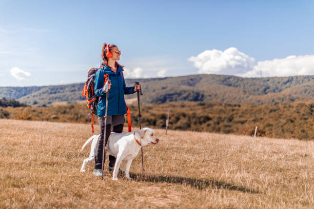 istock Young girl walking the dog 1402126299