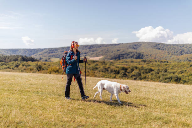 istock Young girl walking the dog 1402127699