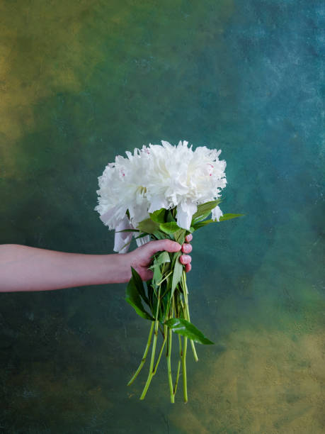 istock Bouquet of peonies in hand 1402127815