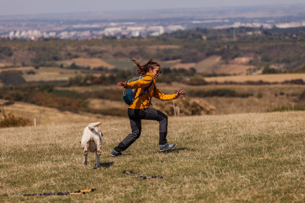 istock Young couple walking the dog 1402127910