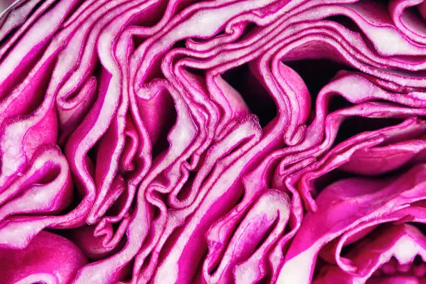 Close up sliced or cut fresh purple cabbage in a half, top view flat lay to present surface and texture of cabbage can apply for background or wallpaper. Vegetable pattern concept in macro style.