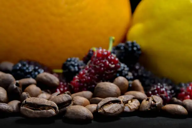 coffee bean and berry orange lemon ,concept for coffee flavor aroma and tase of fruity juicy
