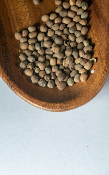 istock chinese medicine moleplant seed on white background 1402129571