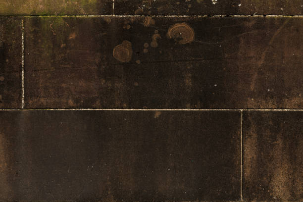 Close-up on a sandstone wall.