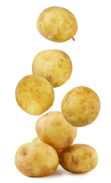 istock Young potatoes falling on a pile on a white background. Isolated 1402131010
