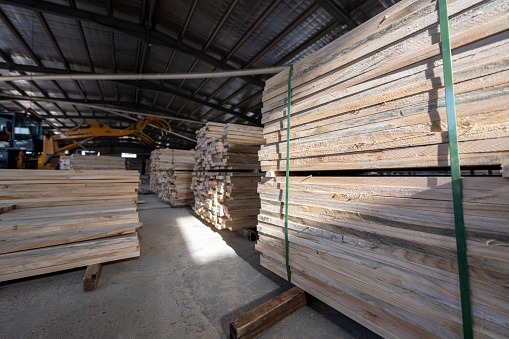 Wood processing plant