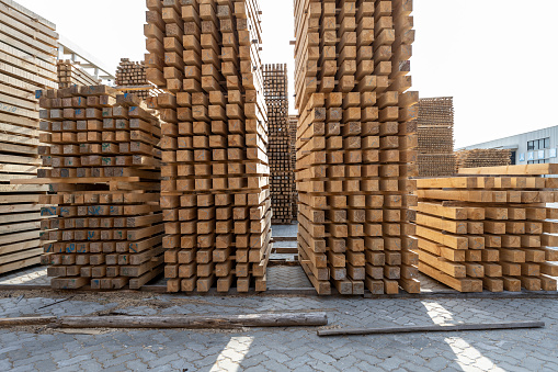 Timber processing and stacking area in the port