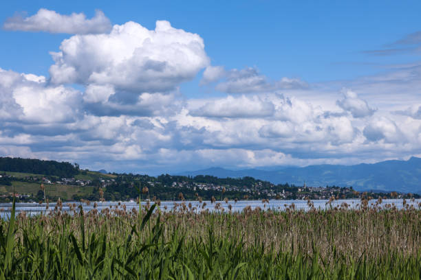 View of Lake Zurich