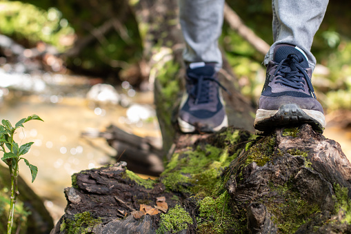 Close-up of man's feet hiking. Hiking, crossing a stream. Legs of a person walking on a fallen log.